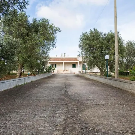 Lupina